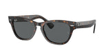 Ray Ban Laramie 2201 Sunglasses