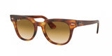 Ray Ban Meteor 2168 Sunglasses