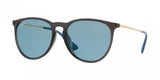 Ray Ban Erika 4171F Sunglasses