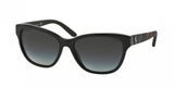 Polo 4093 Sunglasses