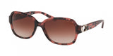 Coach L1032 8241F Sunglasses