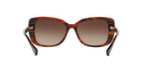 162513 - Brown - Smoke Gradient
