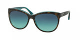 Coach 8055 Sunglasses