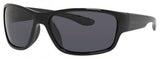 Polaroid Core Pld3015 Sunglasses