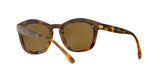 527673 - Havana - Brown