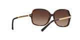 310613 - Dk Tortoise/gold