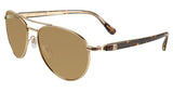 Dunhill SDH00258583X Sunglasses