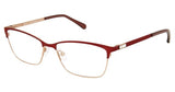 Alexander 3F80 Eyeglasses