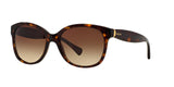 137813 - Havana - Brown Gradient