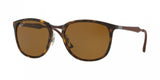 Ray Ban 4299 Sunglasses