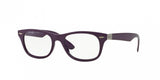 Ray Ban 7032 Eyeglasses