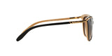 109013 - Black - Brown Gradient