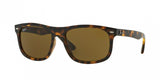 Ray Ban 4226F Sunglasses