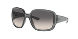 Ray Ban Powderhorn 4347 Sunglasses