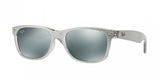 Ray Ban New Wayfarer 2132F Sunglasses