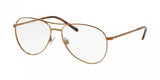 Polo 1180 Eyeglasses