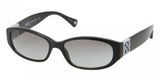 Coach Hope 8012 Sunglasses