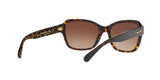 550713 - Dark Tortoise - Brown Gradient