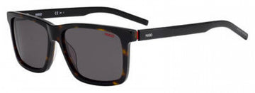 Hugo Hg1013 Sunglasses