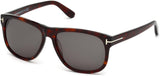 Tom Ford 0236 Sunglasses