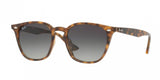 Ray Ban 4258F Sunglasses