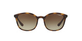 W65613 - Havana - Brown Gradient