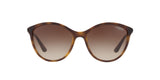 W65613 - Havana - Brown Gradient