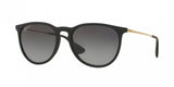 Ray Ban Erika 4171 Sunglasses