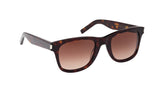 004 - Havana/Havana - Brown