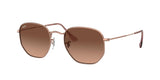 9069A5 - Bronze/copper - Pink Gradient Brown