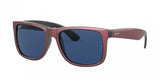 Ray Ban Justin 4165F Sunglasses