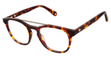 Choice Rewards Preview SPGALVESTON Eyeglasses