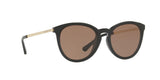 333273 - Brown Solid