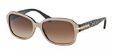 Coach L082 Amber 8105 Sunglasses