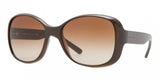 Donna Karan New York DKNY 4102 Sunglasses