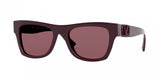 Valentino 4066 Sunglasses