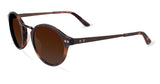 Converse Y008BON51 Sunglasses