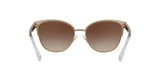 933613 - Gradient Brown