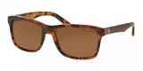Polo 4098 Sunglasses