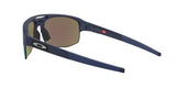 942406 - Blue - Prizm Sapphire Polarized