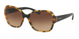 Coach 8166F Sunglasses