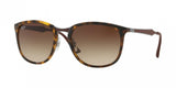 Ray Ban 4299 Sunglasses