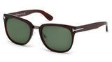 Tom Ford 0290 Sunglasses