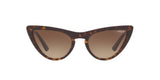 W65613 - Havana - Brown Gradient