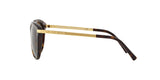 3106T5 - Havana - Brown Gradient Polarized