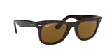 902/57 - Havana - Crystal Brown Polarized