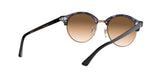 125651 - Havana - Clear Gradient Brown