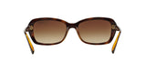 W65613 - Havana - Brown Gradient