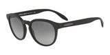 Giorgio Armani 8115 Sunglasses