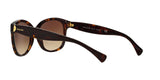 137813 - Havana - Brown Gradient